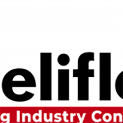 Heliflex Engineering And Services Pvt Ltd.