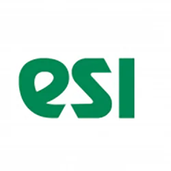 ESI Technology Ltd.